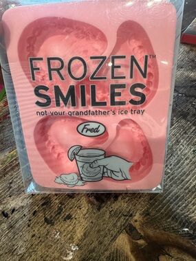 Fred Denture Ice Cube Mold - pink! So funny, great for parties, dental office!